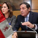El consejero de Sanidad, Antonio María Sáez Aguado, asiste al pleno del Consejo Interterritorial del Sistema Nacional de Salud