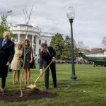 Melania Trump y Brigitte Macron observan a sus maridos, Donald Trump y Emmanuel Macron, plantando un árbol en los jardines de la Casa Blanca