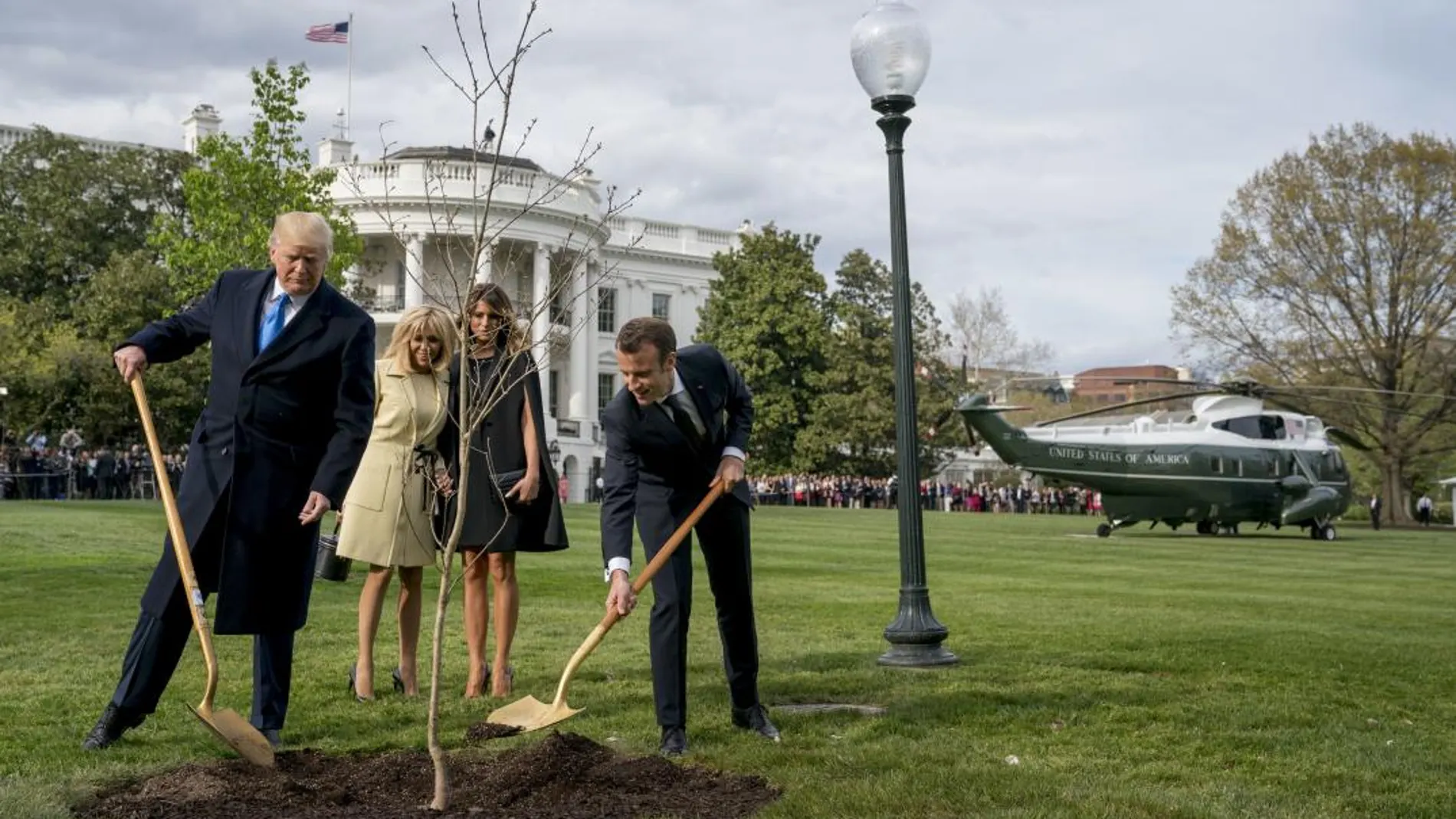 Melania Trump y Brigitte Macron observan a sus maridos, Donald Trump y Emmanuel Macron, plantando un árbol en los jardines de la Casa Blanca