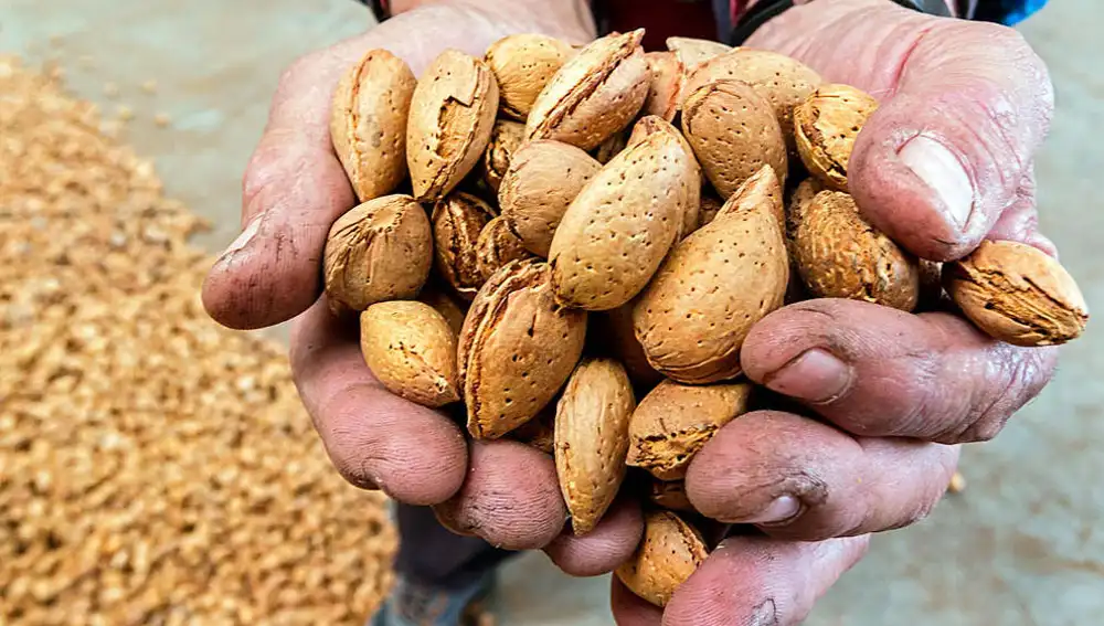 El corazón y el estado de ánimo mejoran con una ingesta moderada y continuada de almendras