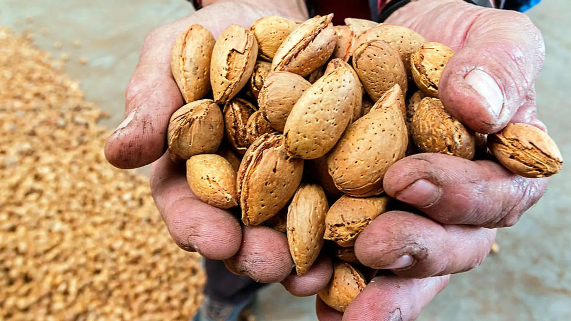 El corazón y el estado de ánimo mejoran con una ingesta moderada y continuada de almendras