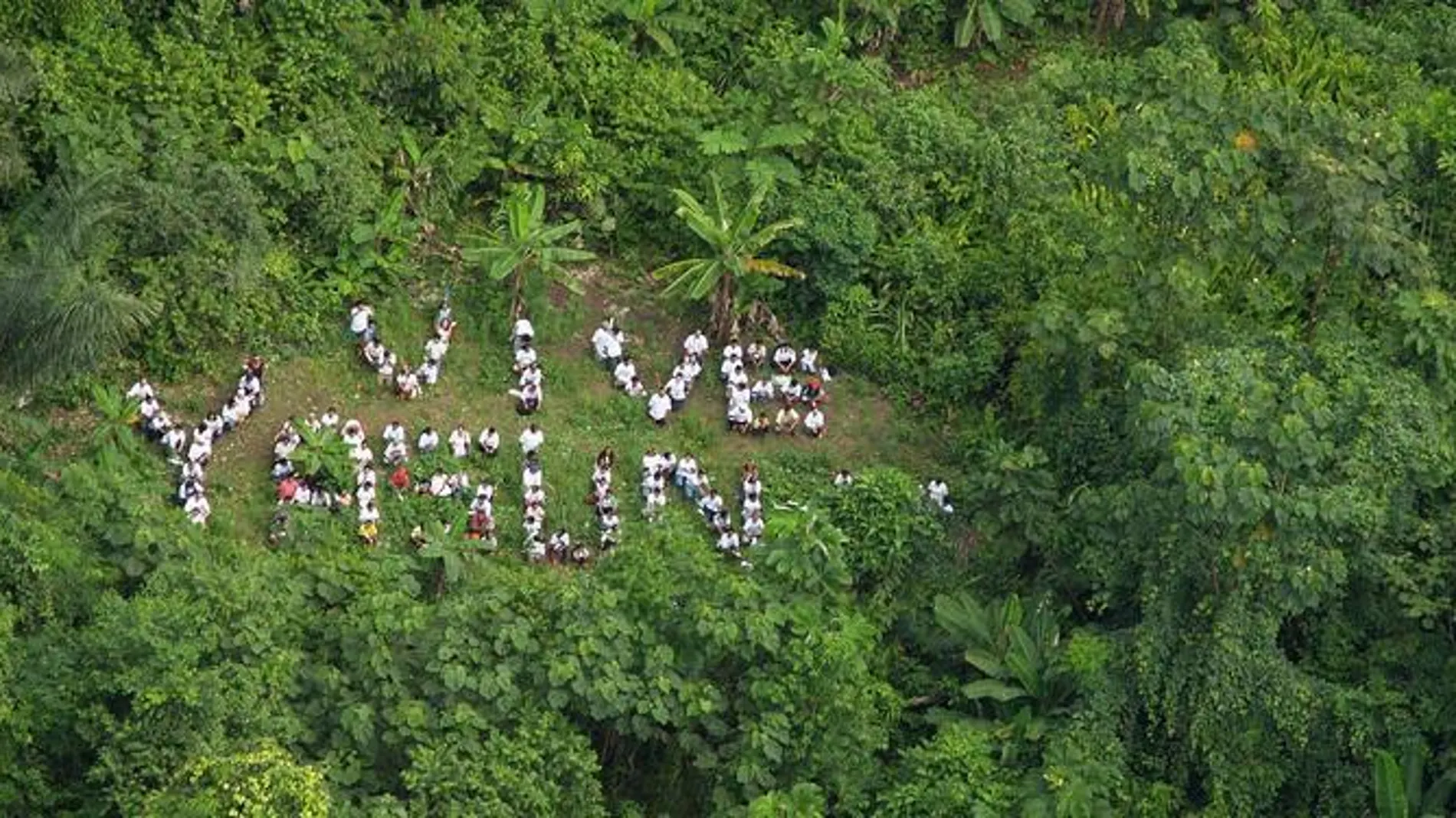 Imagen aérea del Parque Nacional Yasuní en Ecuador