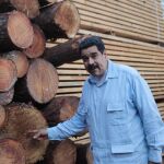 El mandatario venezolano, Nicolás Maduro, durante una visita a un aserradero en Chaguaramas
