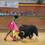 David Salvador lanceando a la Verónica a un novillo de Casasola, en la Feria de Zapato de Oro