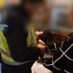 Una agente esposa a la hermana de las víctimas