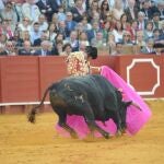 Morante templa con cadencia a la verónica la embestida del cuarto de la tarde