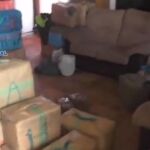 Imagen de los fardos de droga incautados en uno de los registros