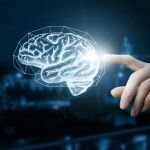 ¿Cuál es el órgano del cuerpo que consume más energía?