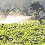 La Comisión dictamina que los estados miembros pongan especial atención en la protección del agua subterránea en áreas vulnerables; en la protección de los operadores y usuarios aficionados; en el riesgo para los vertebrados y plantas que no sean el objetivo de los tratamientos, etc.