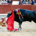 Bolívar al ser enganchado por el segundo toro, sufriendo un «puntazo con hematoma en tercio superior de la pierna derecha»