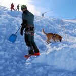 Thor y su guía, Sebastián Ruiz, buscan a Alejandro Ortega, la «víctima» sepultada, en las primeras jornadas de guías y perros detectores en Sierra Nevada