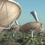 Antenas del Square Kilometre Array