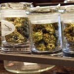 Distintos tipos de marihuana, a la venta en Denver, en Estados Unidos