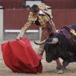 El novillero alcarreño, en imagen de archivo