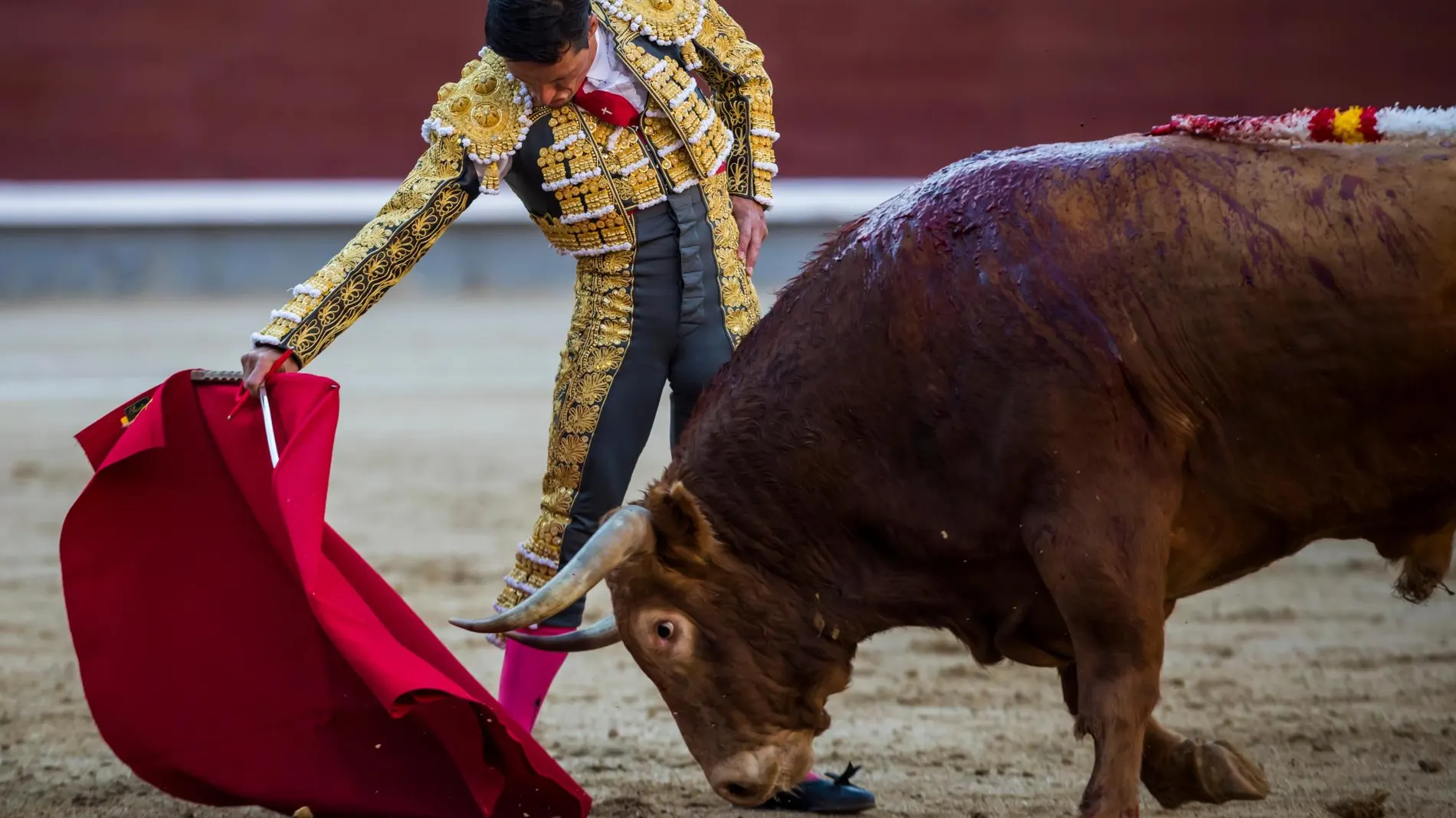 Diego Urdiales en un derechazo en un momento de su faena. Foto: Alberto R. Roldán