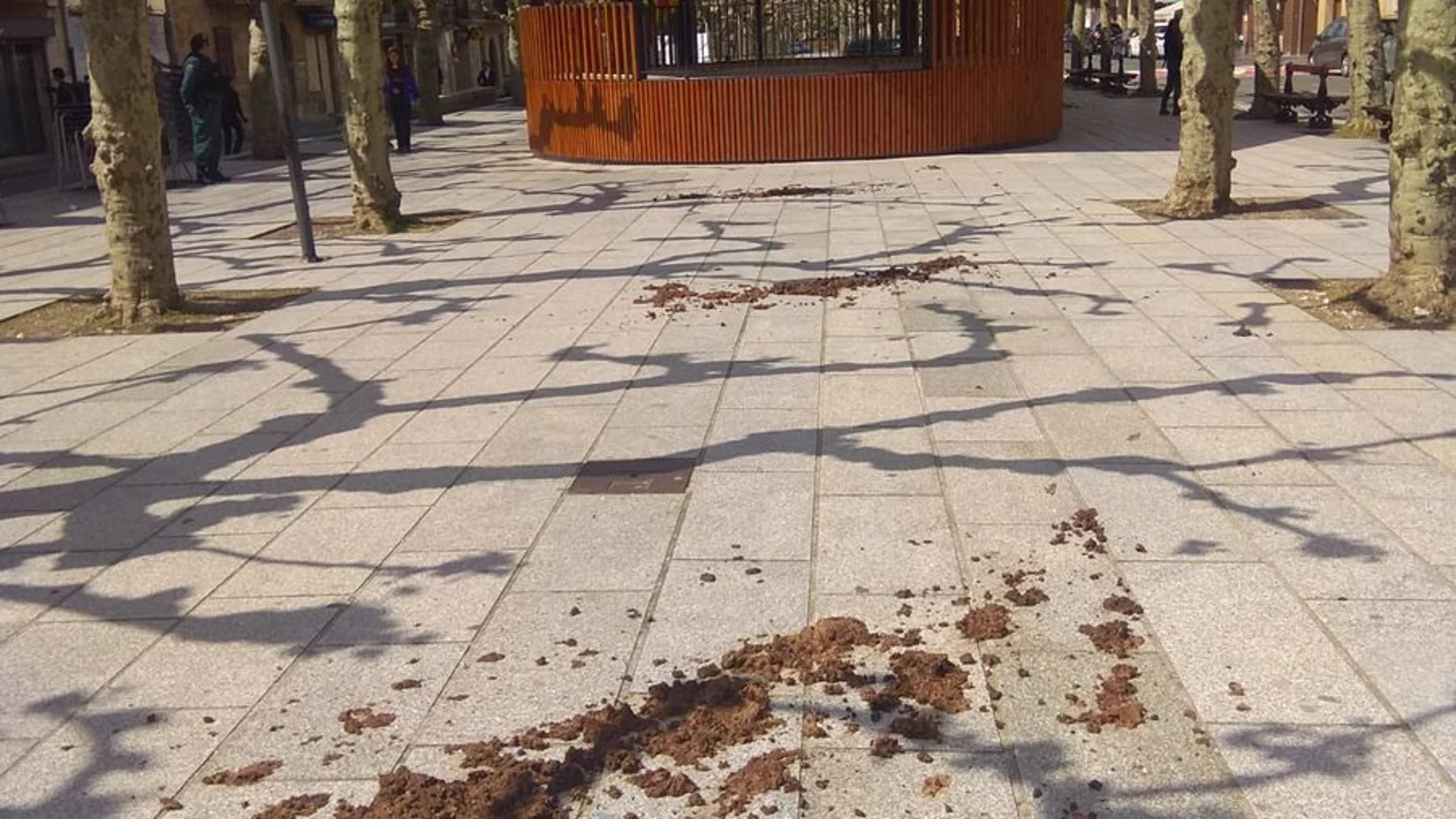 Encapuchados lanzar estiércol en un acto del PP en Navarra