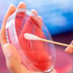 Superbacterias: nos atacan más y son más resistentes
