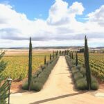 Imagen de la bodega ubicada en la localidad vallisoletana de Urueña