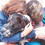 El proyecto Soulmates trabaja con menores de centros de acogida y animales de protectoras