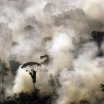 Un incendio en el Amazonas, en una imagen de archivo / Reuters