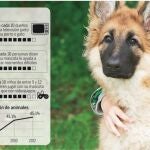 Personas y mascotas, una relación especial