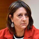 La consellera de Participación valenciana, Rosa Pérez Garijo, de Esquerra Unida