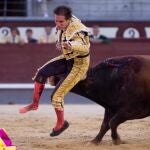 Cornada del sexto novillo, de El Montecillo, al joven novillero azteca