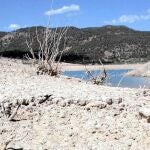 Los regantes del Júcar piden un plan de cuenca que clarifique las reglas del río