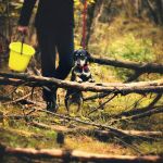 7 ideas para hacer que tu familia sea más ecológica