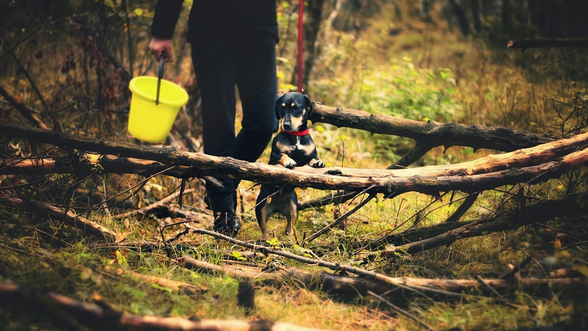 7 ideas para hacer que tu familia sea más ecológica