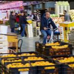 Imagen del mercado de Barcelona Mercabarna