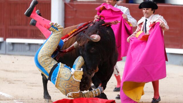 El diestro sufrió una cornada al entrar a matar. Foto: Jesús G. Feria