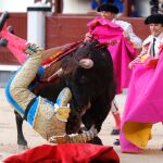 El diestro sufrió una cornada al entrar a matar. Foto: Jesús G. Feria