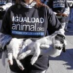 La línea roja de la experimentación: crear perros drogadictos