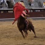 El colmenareño resultó herido al entrar a matar al cuarto