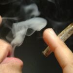 El consumo de cannabis se ha reducido
