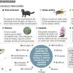 Asesinos de la riqueza natural