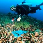 Coca-Cola en España pone en marcha Mares Circulares para limpiar nuestras costas y océanos