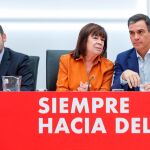Pedro Sánchez junto a José Luis Ábalos y Cristina Narbona durante la reunión de la Ejecutiva Federal del partido este lunes en Ferraz. / Foto: EFE/Emilio Naranjo