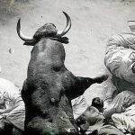 «Encierro»: los toros saltan a la pantalla