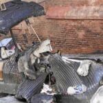 La calle Monteleón, en Malasaña, fue una de las más afectadas por la quema de contenedores el domingo por la noche