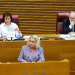 Maria José Ferrer San Segundo ha presentado la proposición no de ley a la Cámara