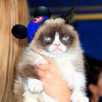 Grumpy Cat, en la alfombra roja del estreno de "Cenicienta"en Hollywood / Foto: Efe