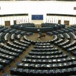 PLENO DEL PARLAMENTO EUROPEO EN ESTRASBURGO