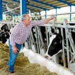 José Manuel Fernández, investido alcalde en La Jara (Toledo) trabaja en una vaquería y no cobra como edil / Foto: Cristina Bejarano