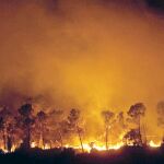 Los agentes rurales siguen investigando las causas del fuego que se inició entre Camallera y Vilopriu
