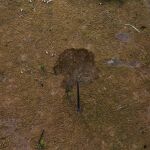 Vista aérea de una zona deforestada de la selva amazónica / Reuters