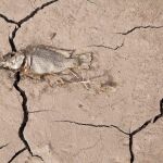 1.800 millones de personas sufriran escasez severa de agua en 2025, en sólo seis años