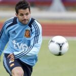 Por problemas en su rodilla derecha, Cesc no disputará los dos amistosos de esta semana en Suráfrica
