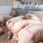 La consejera de Agricultura y Ganadería, Silvia Clemente, visita una de las explotaciones ganaderas seleccionadas